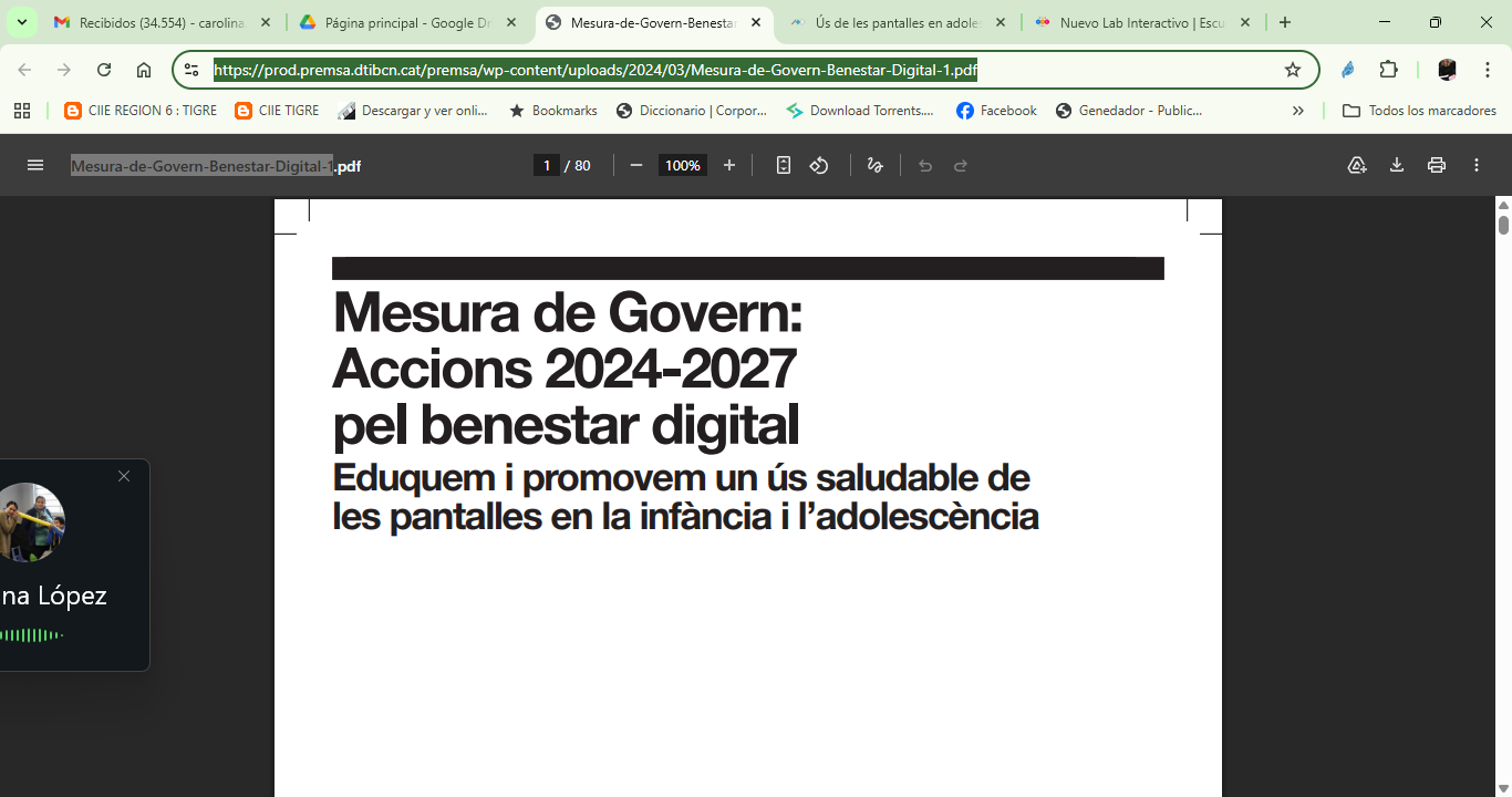 Mesura-de-Govern-Benestar-Digital-1